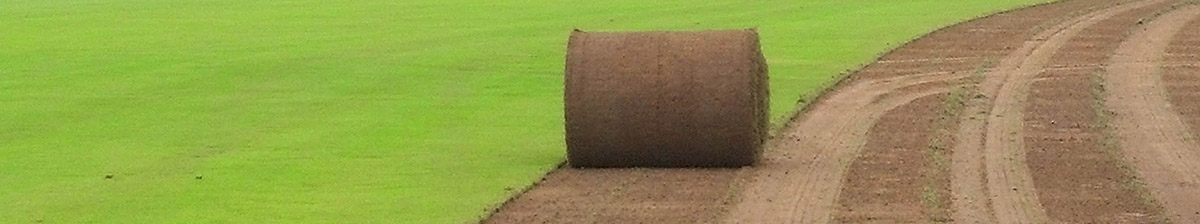 large roll of sod